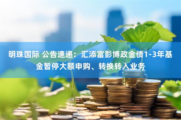 明珠国际 公告速递：汇添富彭博政金债1-3年基金暂停大额申购、转换转入业务