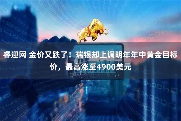 睿迎网 金价又跌了!瑞银却上调明年年中黄金目标价,最高涨至4900美元