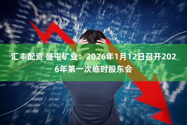 汇丰配资 盛屯矿业：2026年1月12日召开2026年第一次临时股东会